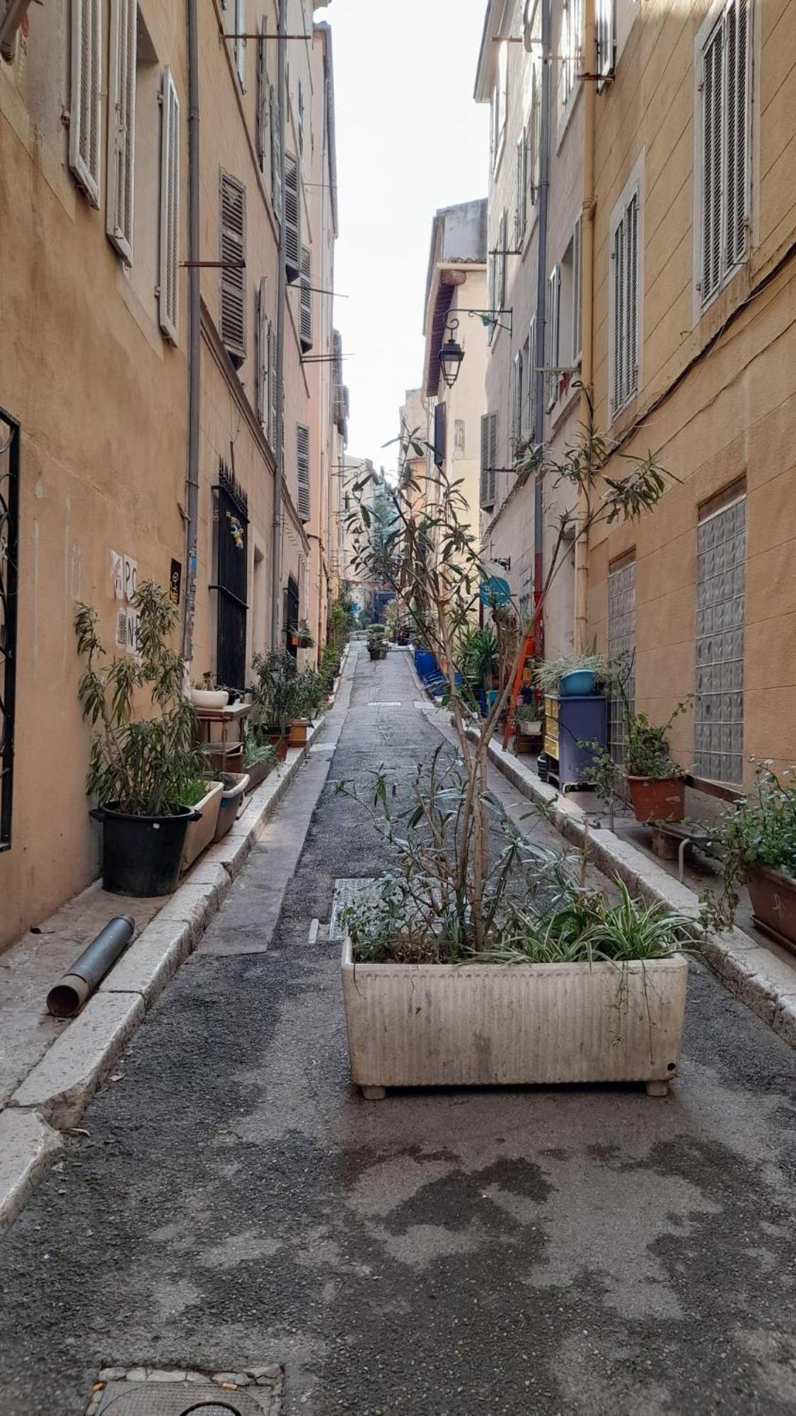 Le Cosy Marseilles